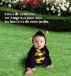 L'abus de pesticide est dangereux pour tous les habitants du jardin L'abus de pesticide est dangereux pour tous les habitants du jardin