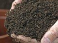 compost