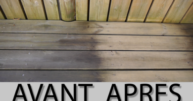 VLOG2 : Nettoyage terrasse bois avec du SEL D'OSEILLE, épisode 1 ! 