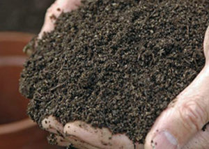 compost